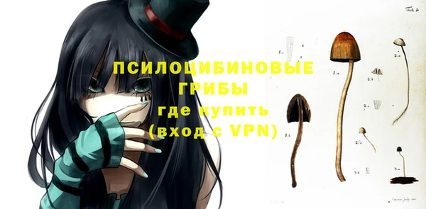 mdpv Пестово